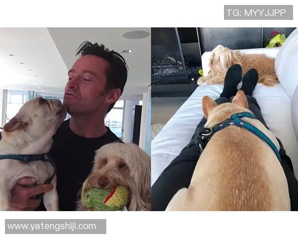 当足球巨星的妻子走上银幕演绎爱与荣耀的命运交响 当足球巨星的妻子走上银幕演绎爱与荣耀的命运交响